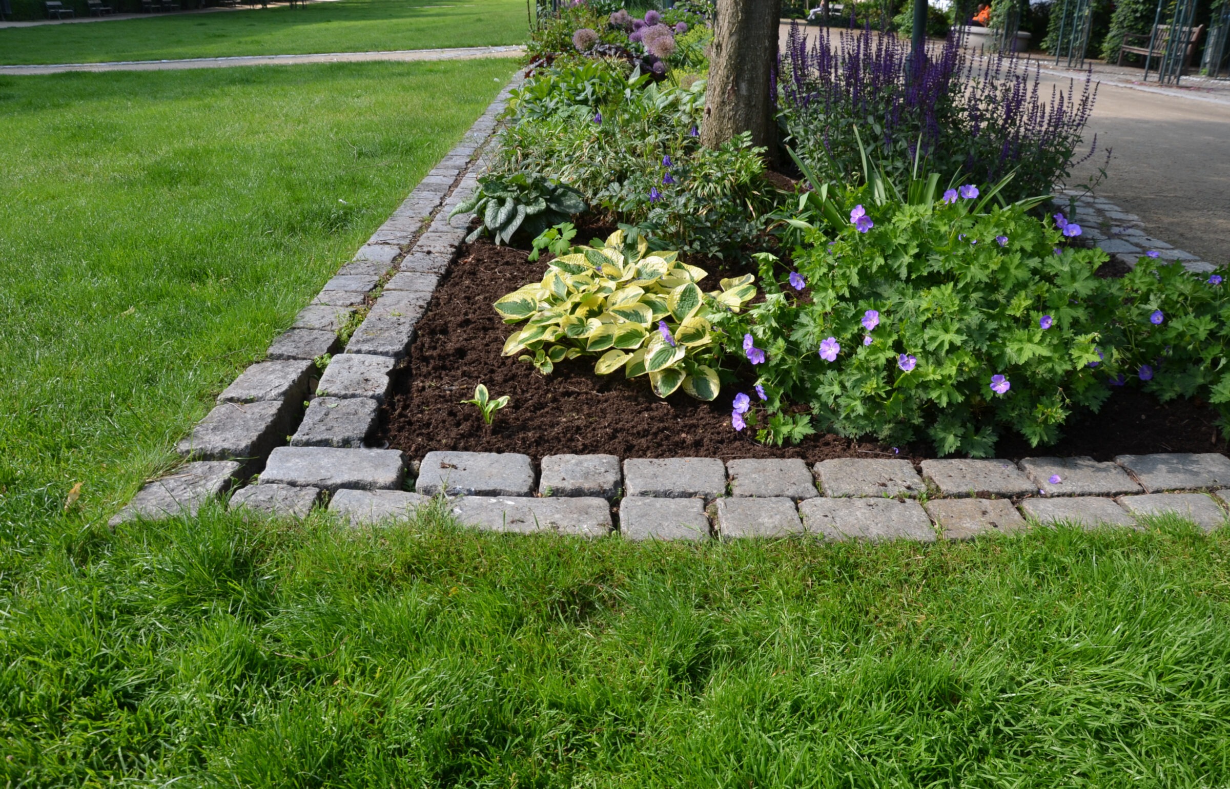 flowerbed on the promenade in the park with ornamental perennials. the edge is a curved curb of granite paving blocks.