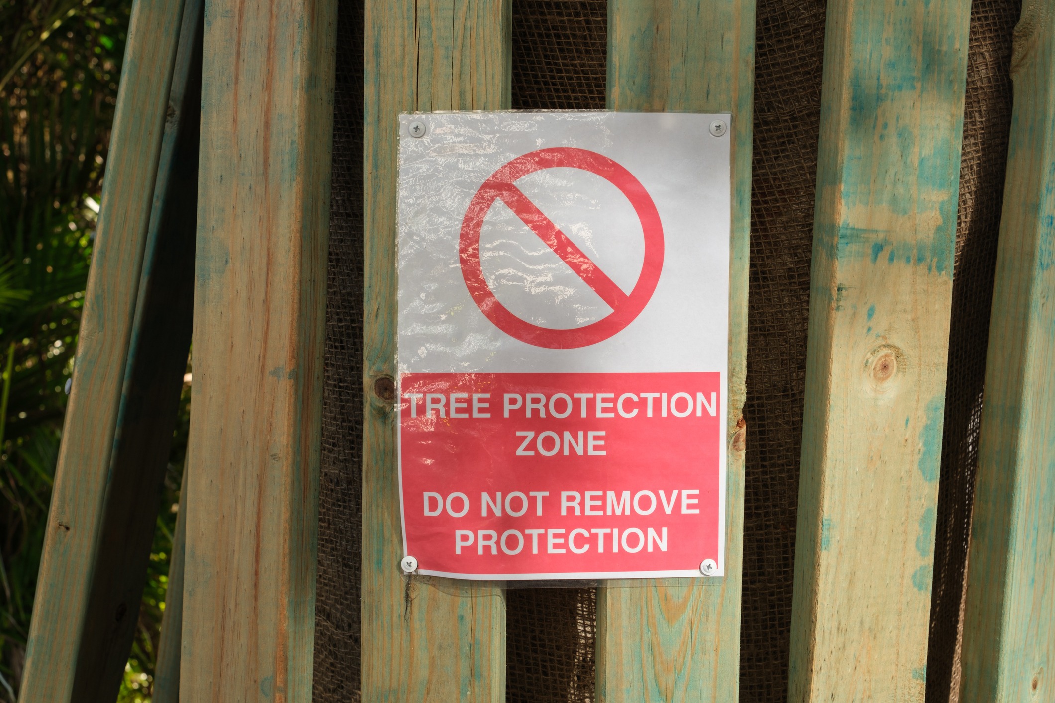 Tree protection sign on a protective wooden barrier.