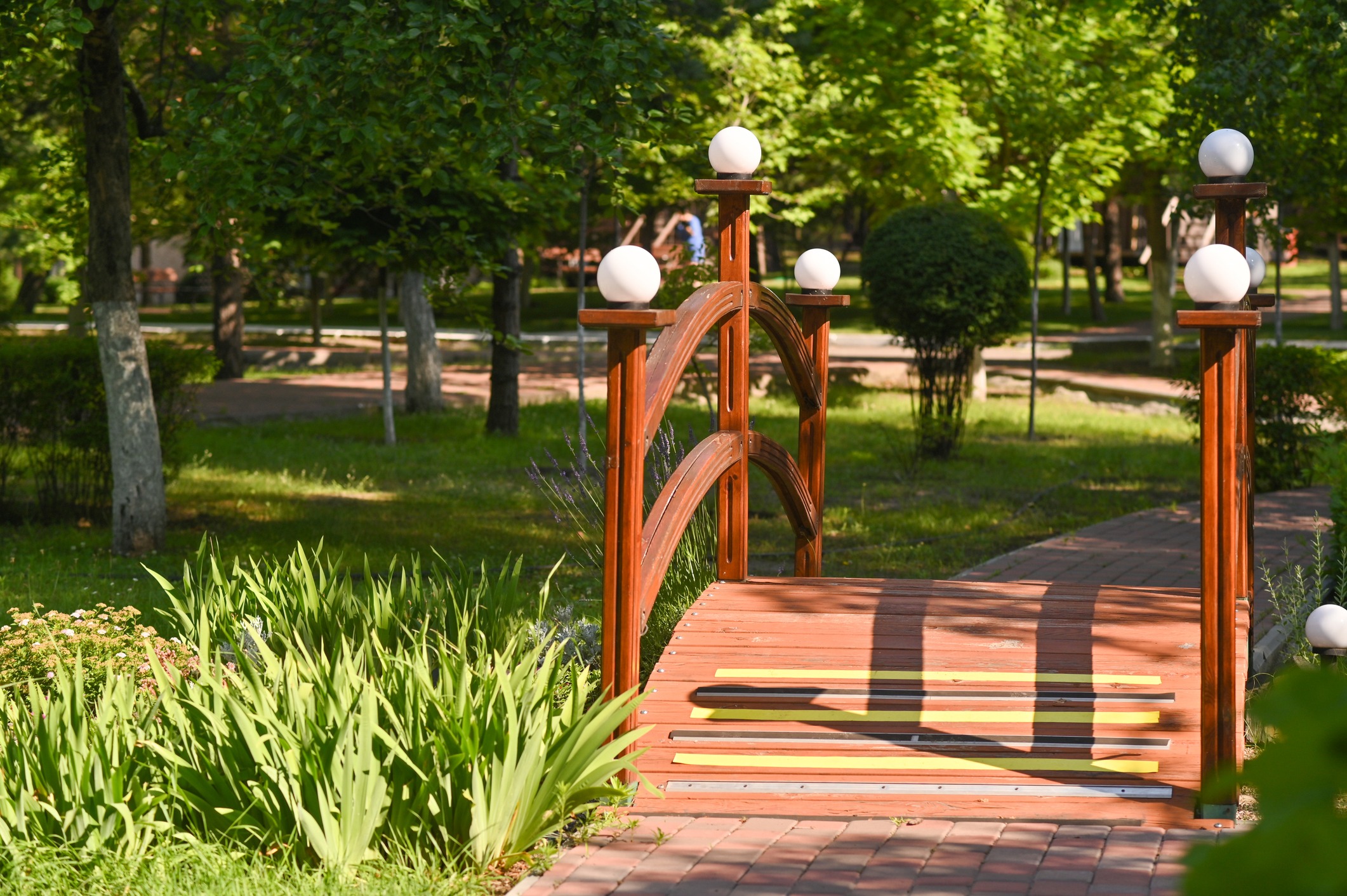 a small wooden bridge in the park in summer