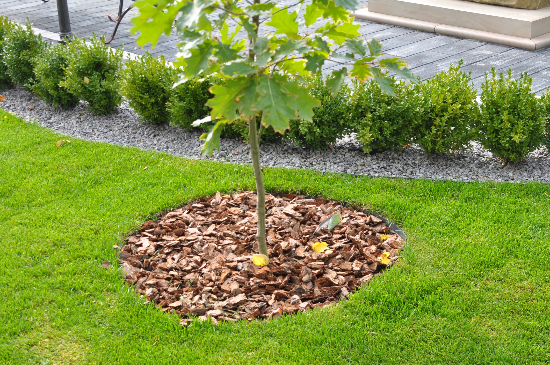 Fragments of modern design from landscaping