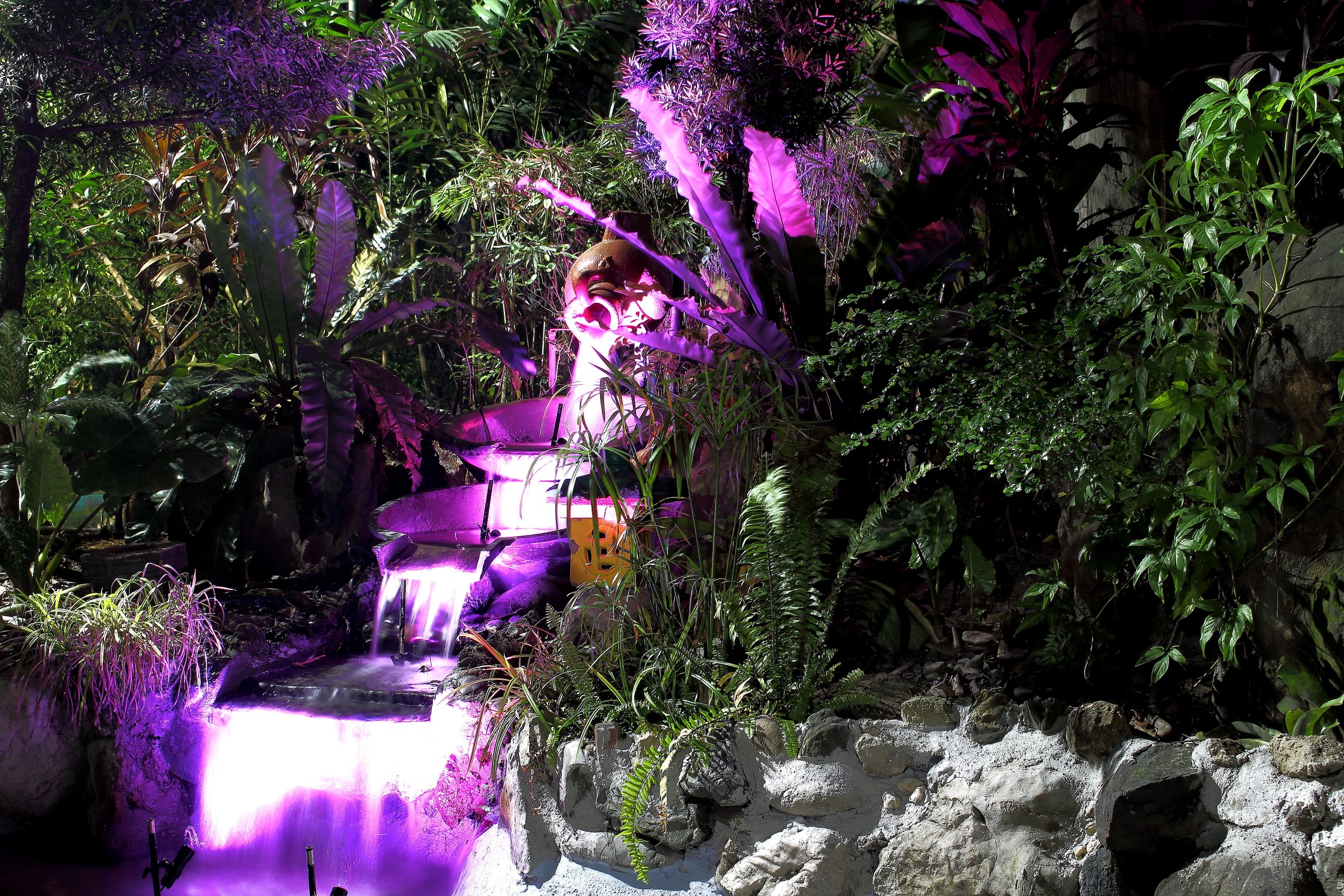 man-made fountain with purple lights flowing in the garden.