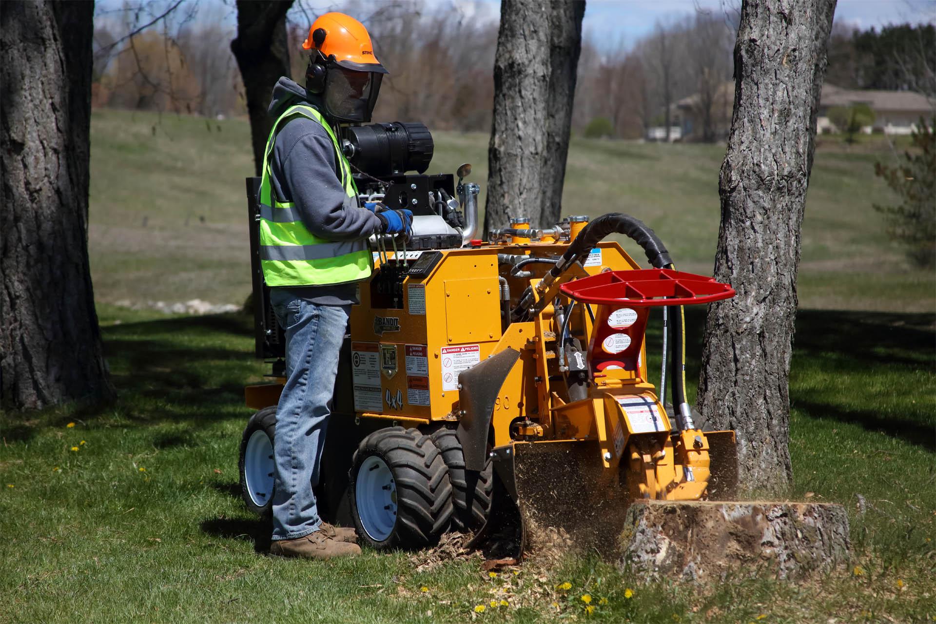 Worker grinding tree stump with professional stump grinder