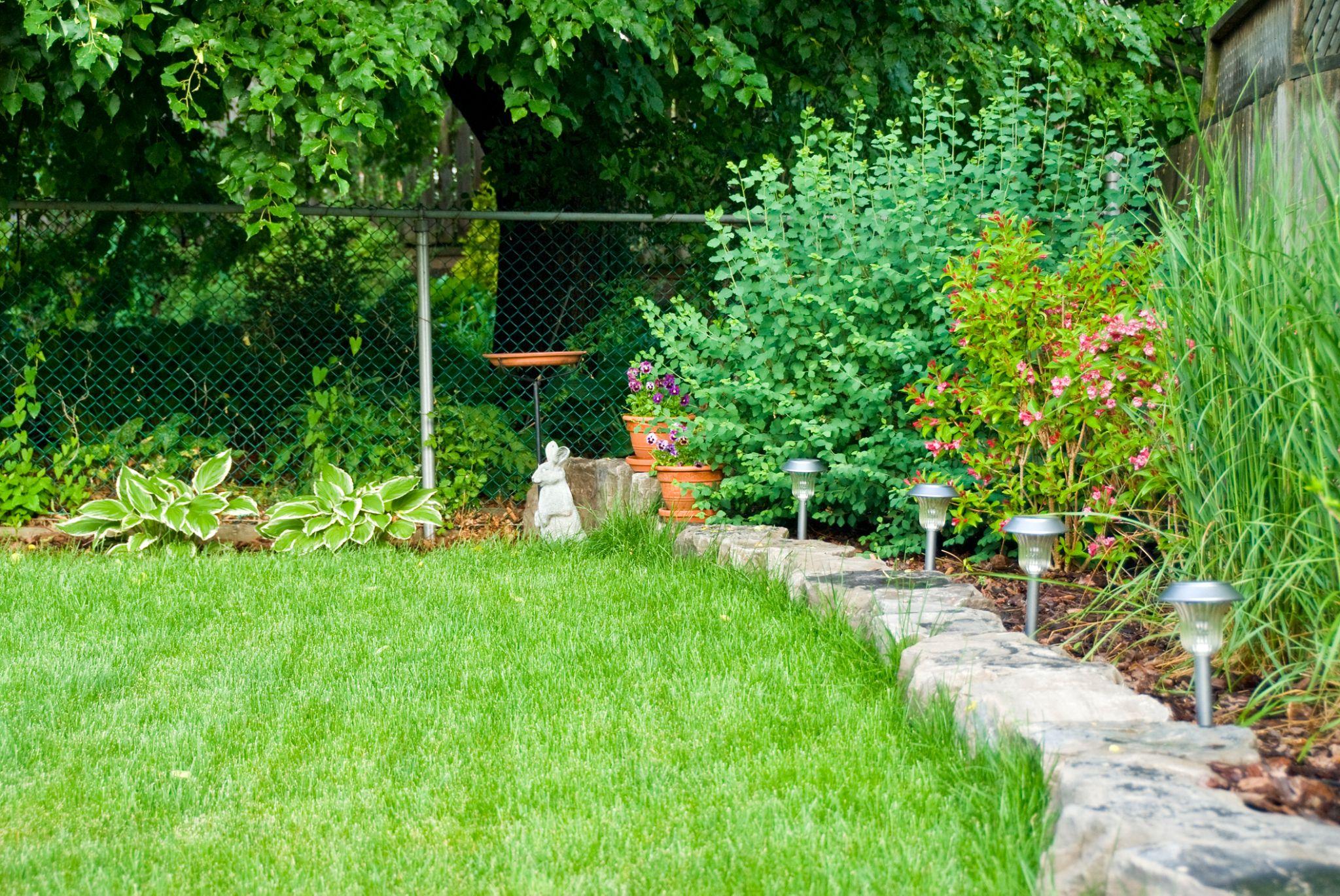 Backyard garden bed with solar path lights, flowering shrubs, and stone border