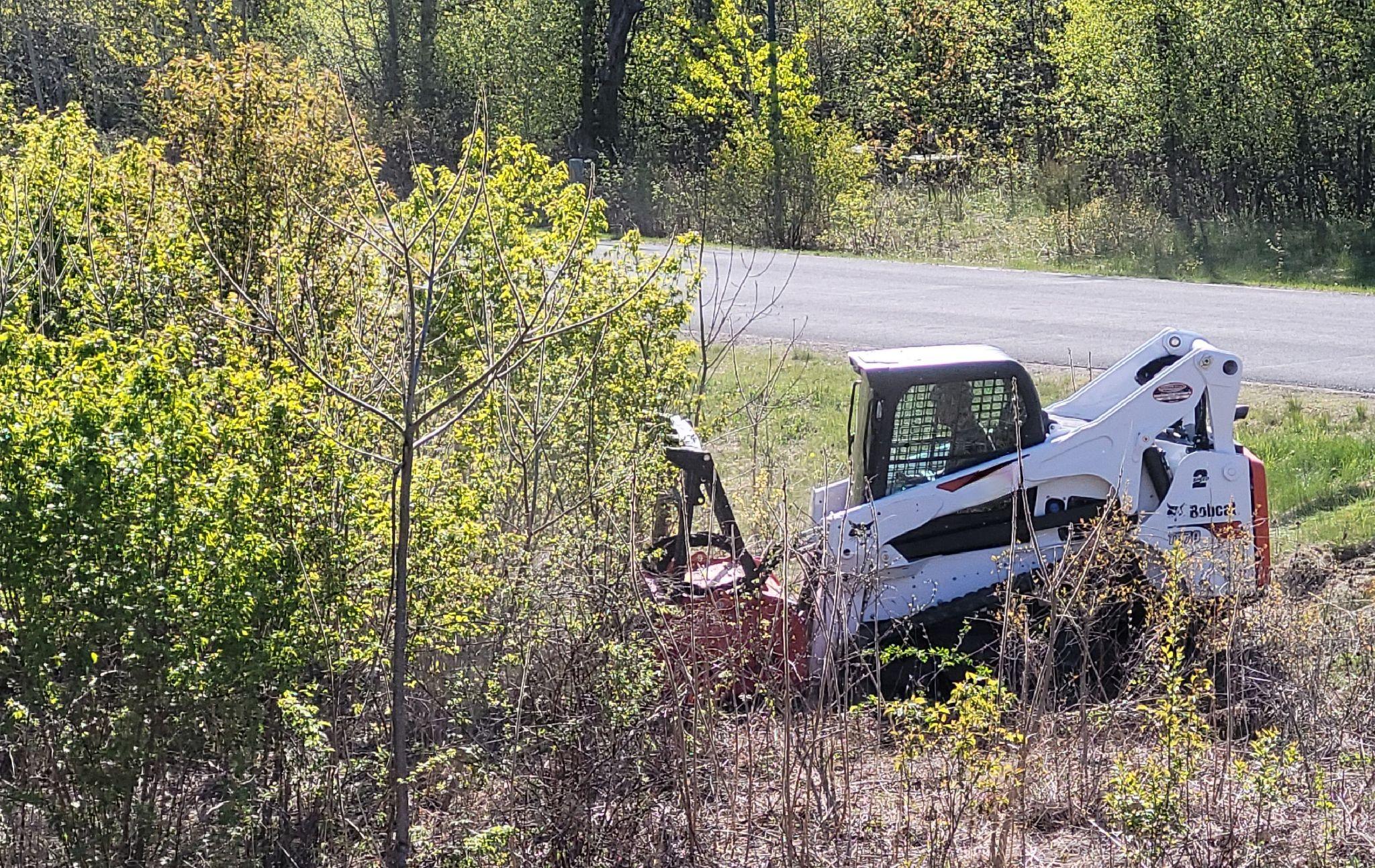 Bobcat machine clearing buckthorn and brush near roadside