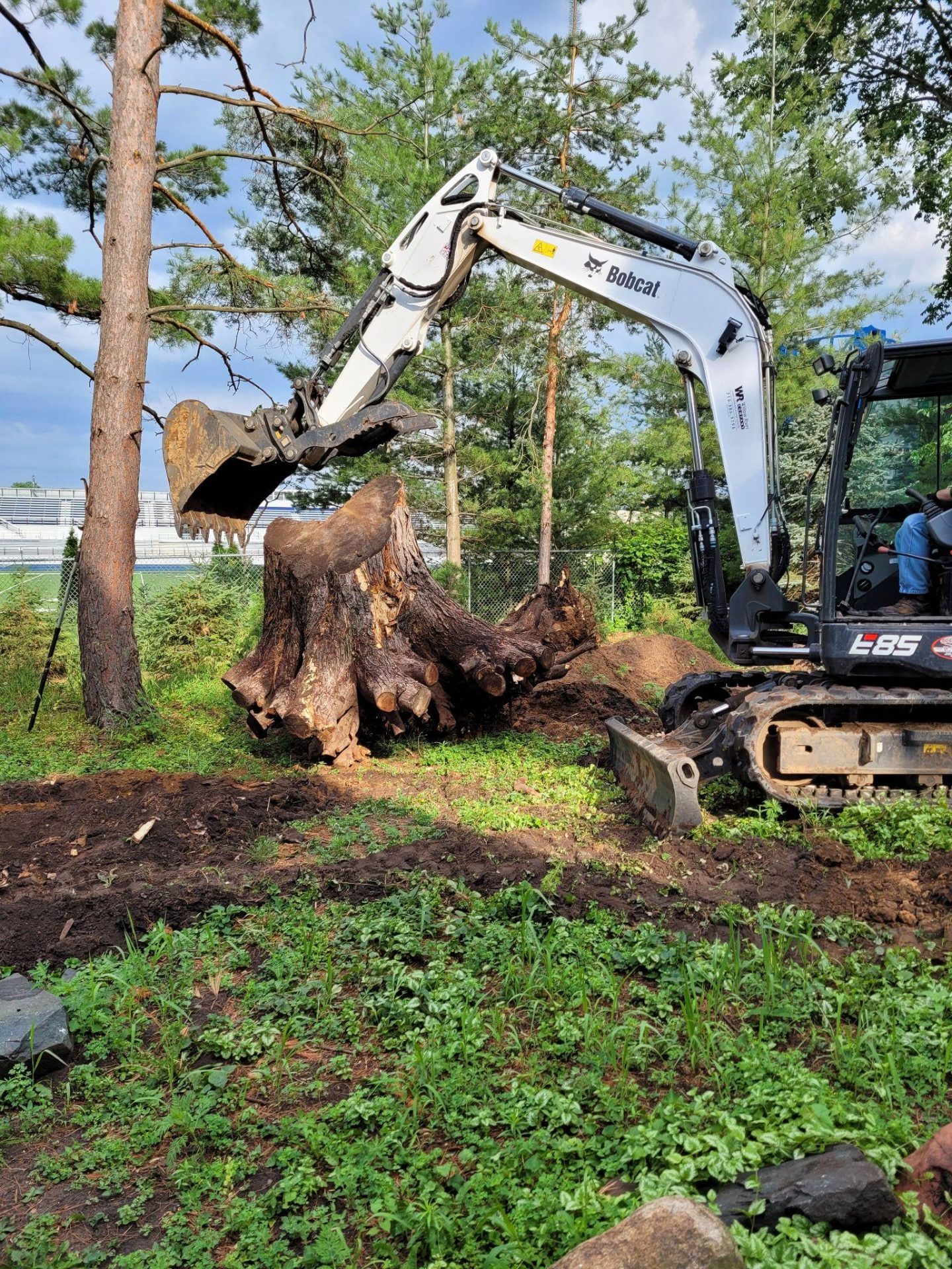 Excavator removing large tree stump from residential property