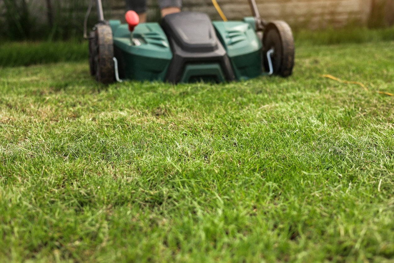 Gardening work tools. Green electric aerator scarifier for soil cultivation and compaction on bright lush green lawn grass. Professional lawn care service. Grass maintenance.