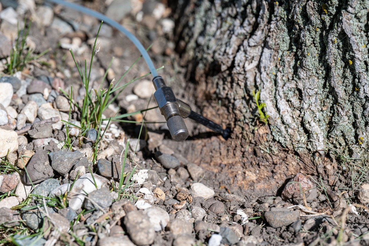 Deep root fertilization injection