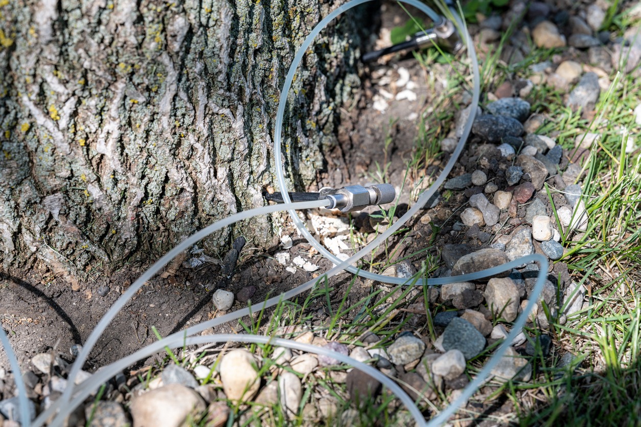 Multiple injection sites for deep root fertilization
